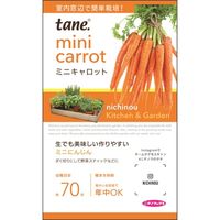 ニチノウのタネ K＆Gミニキャロット 日本農産種苗 4960599160270 1セット（5袋入）（直送品）