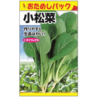 ニチノウのタネ 小松菜（おためしパック） 日本農産種苗 4960599170804 1セット（10袋入）（直送品）