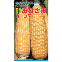 ニチノウのタネ おひさまコーン7（400） 日本農産種苗 4960599172501 1セット（3袋入）（直送品）