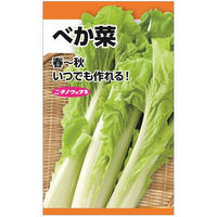 ニチノウのタネ べか菜 日本農産種苗 4960599172907 1セット（5袋入）（直送品）