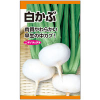 ニチノウのタネ 白かぶ 日本農産種苗 4960599173508 1セット（5袋入）（直送品）