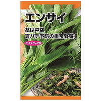 ニチノウのタネ エンサイ 日本農産種苗 4960599173904 1セット（5袋入）（直送品）
