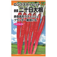 ニチノウのタネ ロングスカーレット（赤長二十日大根） 日本農産種苗 4960599174406 1セット（5袋入）（直送品）