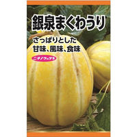 ニチノウのタネ 銀泉まくわ 日本農産種苗 4960599177704 1セット（5袋入）（直送品）