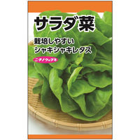 ニチノウのタネ サラダ菜 日本農産種苗 4960599179104 1セット（5袋入）（直送品）