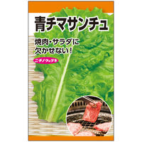 ニチノウのタネ 青チマサンチュウ 日本農産種苗 4960599179302 1セット（5袋入）（直送品）