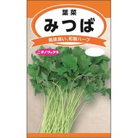 ニチノウのタネ みつば 日本農産種苗 4960599179708 1セット（5袋入）（直送品）