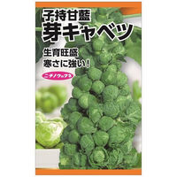 ニチノウのタネ 芽キャベツ 日本農産種苗 4960599179807 1セット（5袋入）（直送品）
