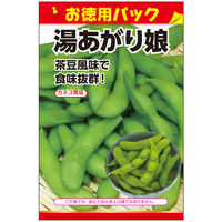 ニチノウのタネ  湯あがり娘（お徳用パック） 日本農産種苗  1セット（3袋入）（直送品）