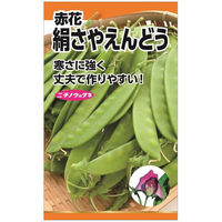 ニチノウのタネ 赤花絹莢えんどう（つるあり） 日本農産種苗 4960599217806 1セット（5袋入）（直送品）