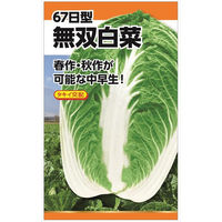 ニチノウのタネ タキイ交配 無双白菜 日本農産種苗 4960599233301 1セット（3袋入）（直送品）