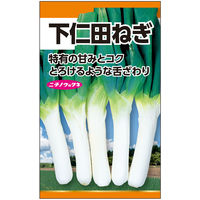 ニチノウのタネ 下仁田ねぎ 日本農産種苗 4960599260406 1セット（5袋入）（直送品）