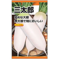 ニチノウのタネ 大根/ラディッシュ 日本農産種苗