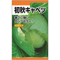 ニチノウのタネ タキイ交配 初秋（キャベツ） 日本農産種苗 4960599262202 1セット（5袋入）（直送品）