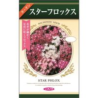 ニチノウのタネ スターフロックス 日本農産種苗 4960599311481 1セット（5袋入）（直送品）