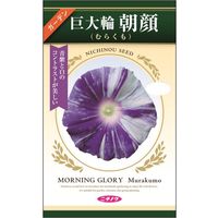 ニチノウのタネ 巨大輪朝顔（むらくも） 日本農産種苗 4960599320780 1セット（5袋入）（直送品）
