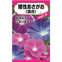 ニチノウのタネ 矮性朝顔（混合） 日本農産種苗 4960599321084 1セット（5袋入）（直送品）