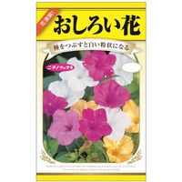 ニチノウのタネ おしろい花 日本農産種苗 4960599402387 1セット（5袋入）（直送品）