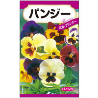 ニチノウのタネ パンジー 日本農産種苗 4960599410382 1セット（5袋入）（直送品）
