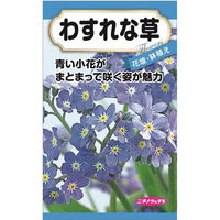 ニチノウのタネ わすれな草 日本農産種苗 4960599410788 1セット（5袋入）（直送品）