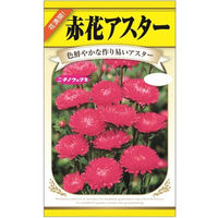 ニチノウのタネ 赤花アスター 日本農産種苗 4960599411280 1セット（5袋入）（直送品）