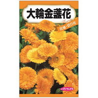 ニチノウのタネ　日本農産種苗 大輪金盞花 4960599323187 1セット（5袋入）（直送品）