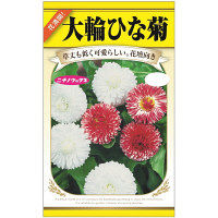 ニチノウのタネ 大輪ひな菊 日本農産種苗 4960599414489 1セット（5袋入）（直送品）