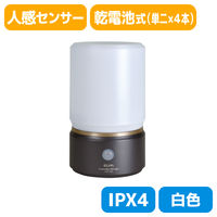 朝日電器 もてなしライト・据置（大） HLH-1202（DB）（直送品）