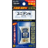 朝日電器 大容量長持ち充電池 TSA-224 1個