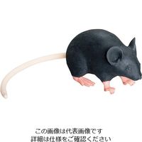三協ラボサービス マウス型実習用動物シミュレータ Mimicky（R） rrrmm01 1セット 3-8333-01（直送品）
