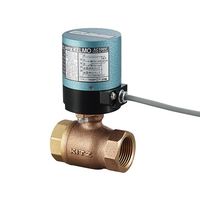 キッツ 小型電動ボールバルブ(青銅) AC100V 20A 3/4 EA100-TE-20A 1個 3-8538-04（直送品）