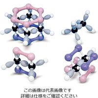 日本スリービー・サイエンティフィック 電子軌道模型 炭化水素の分子軌道模型組立セット 4種 1セット 3-9227-03（直送品）
