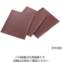 アズワン 研磨布シート(アルミナタイプ) #100 10枚入 3-9515-03 1袋(10枚)（直送品）