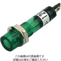 アズワン ネオン球（抵抗内蔵型） 緑 1個 3-974-02（直送品）