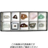 東京サイエンス 鉱物標本(鉱物標本30種) 3-655-05 1セット（直送