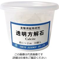 東京サイエンス 実験用鉱物材料(ケース入り) 透明方解石 3-656-04 1セット（直送品）