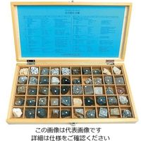 東京サイエンス 岩石標本（岩石標本50種） 1セット 3-657-07（直送品）