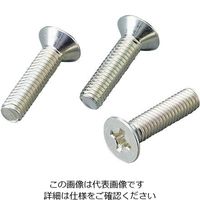 サンコーインダストリー （+）皿小ネジ 鉄（三価ホワイト） 100本入 M618 1袋（100本） 4-280-63（直送品）