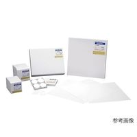 アドバンテック東洋 ガラス濾紙 GBー100R 100枚入 36321025 1箱(100枚) 4-908-43（直送品）