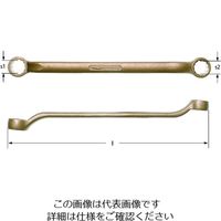 Ampco（アンプコ） Ampcoスイス 防爆ダブルボックスエンドレンチ19x21mm AC1921B 1丁 102-6352（直送品）