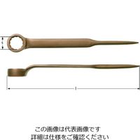 Ampco Ampcoスイス 防爆シノ付きボックスエンドレンチ 21mm AN0021B 1丁 102-6413（直送品）