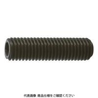 トラスコ中山 TRUSCO 六角穴付止めねじ 平先 黒染め M12×25 15本入 B63-1225 1パック(15本) 116-2619（直送品）