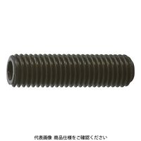 トラスコ中山 TRUSCO 六角穴付止めねじ 平先 黒染め M14×45 4本入 B63-1445 1パック(4本) 116-2638（直送品）