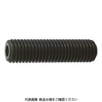 トラスコ中山 TRUSCO 六角穴付止めねじ 平先 黒染め M14×50 4本入 B63-1450 1パック(4本) 116-2639（直送品）