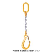 スリーエッチ HHH チェーンフック3tロング(FHL3付) CFHL3L 1本 114-2087（直送品）