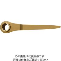 Ampco Ampcoスイス 防爆シノ付きラチェットレンチ 19mm CR0019B 1丁 102-6365（直送品）