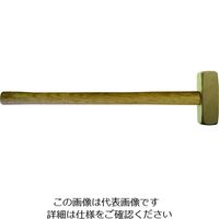 Ampco Ampcoスイス 防爆スレッジハンマー 1000g FF0100B 1本 102-6469（直送品）