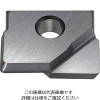 ダイジェット工業 ダイジェット ミラーラジアス用チップ DH103 RNM-120-R03 1セット(2個) 116-4957（直送品）