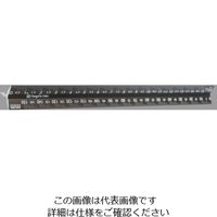 エスコ 160mm 三角スケール(一般用) EA762AC-21 1セット(3個)（直送品）