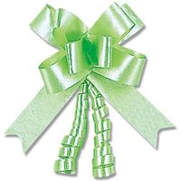 シモジマ リボンボウ 22mm巾 ミント 50本入 001410106 1セット(20箱)（直送品）